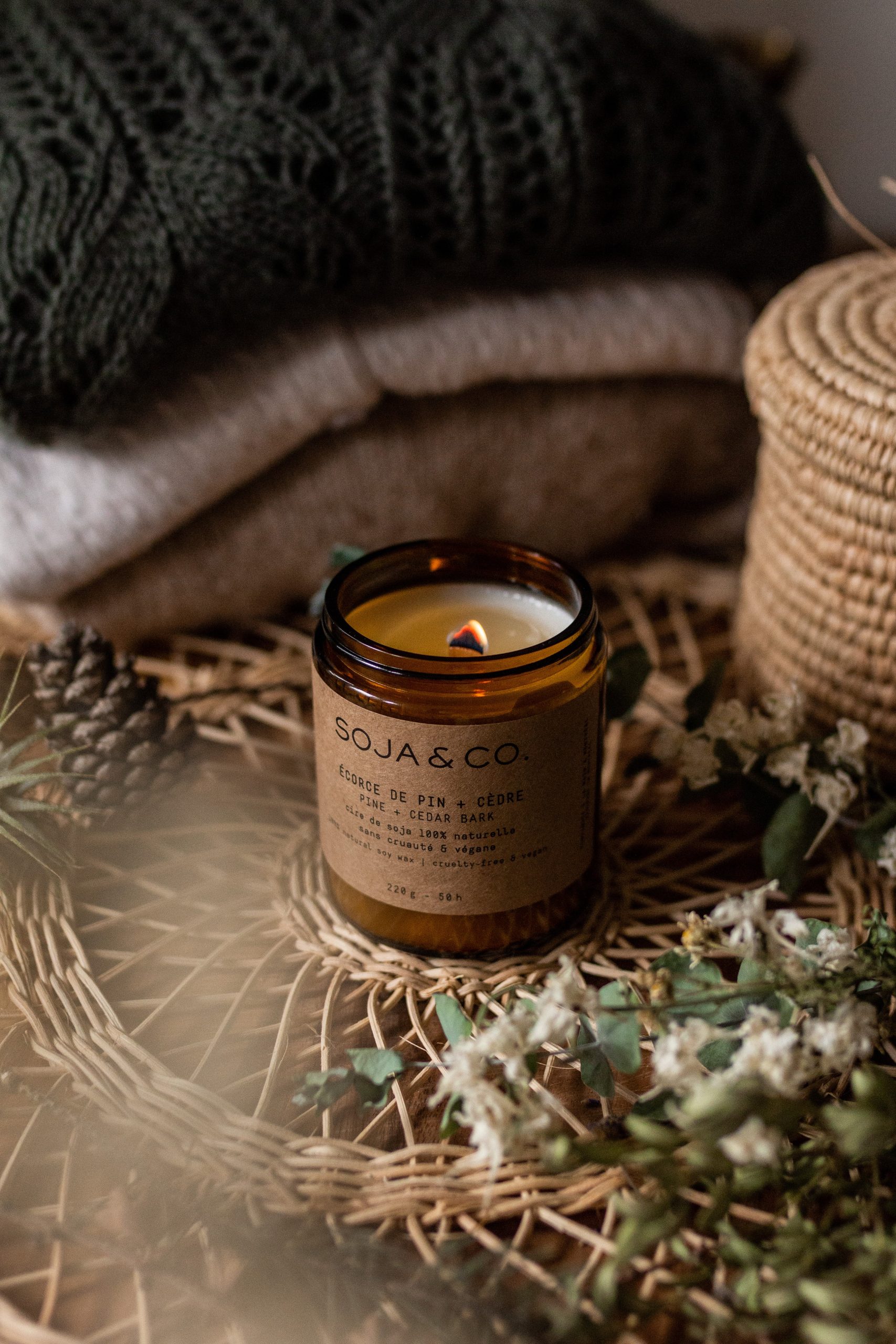 Bougie | Écorce de pin + Cèdre – Image 4