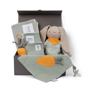 Coffret Cadeau de naissance Lapin en Lin vert sauge et accessoires