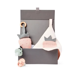 Coffret naissance mini-douceurs jardin - Fraises