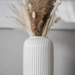 Fleurs séchets | Moment cocooning