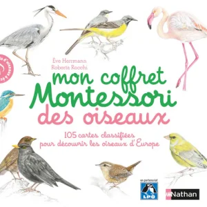 COFFRET MONTESSORI DES OISEAUX