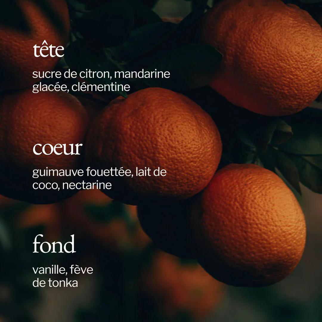 Bougie | Guimauve + Clémentine – Image 5