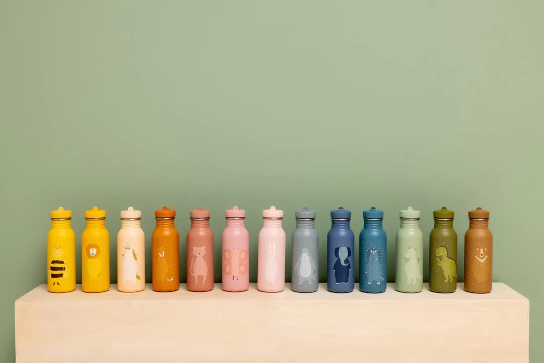 Stainless Steel Bottle 500 ml - Mr. Triceratops – Image 5